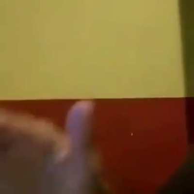 Rei do sexo