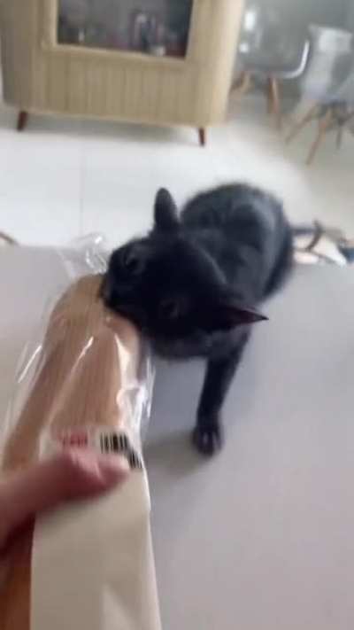 Can I have bred