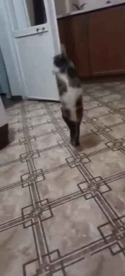 I gotta go, later!