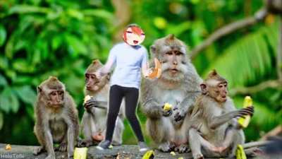 Kiara is MONKE
