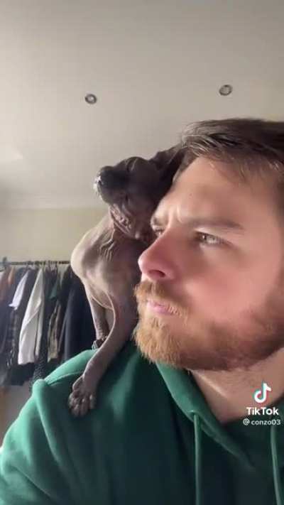 Double life