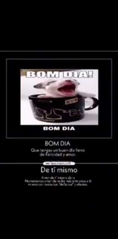 bom dia🥰🥰🥰🥰