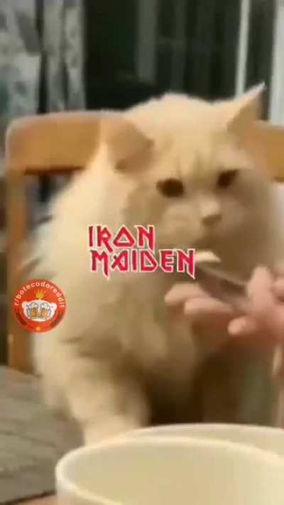Gostas de Iron Maiden?