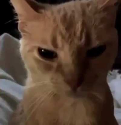 🤬