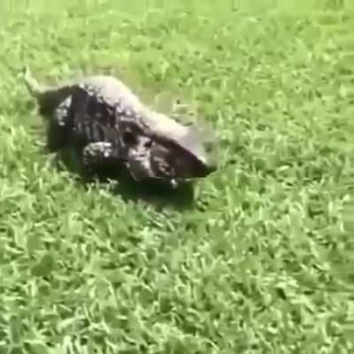 Made me almost have a heart attack