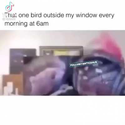 Annoying AF