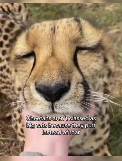 Did you know