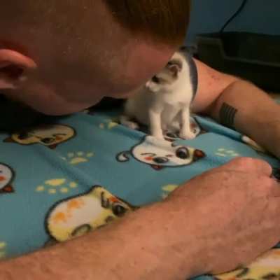 Awww