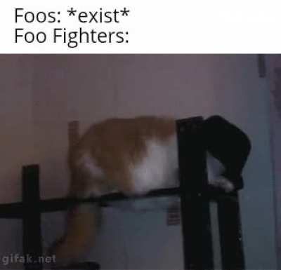 Ive made a few foo fighter memes at this point