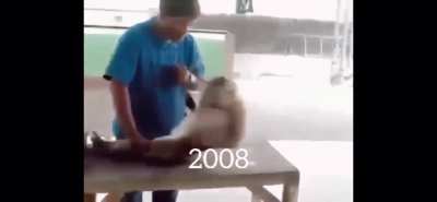 Monke