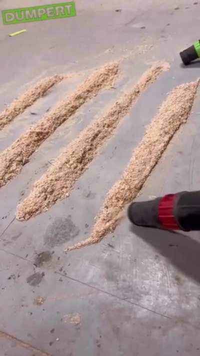 Sneak peek into what vaccum cleaners do when i am out on friday night ...