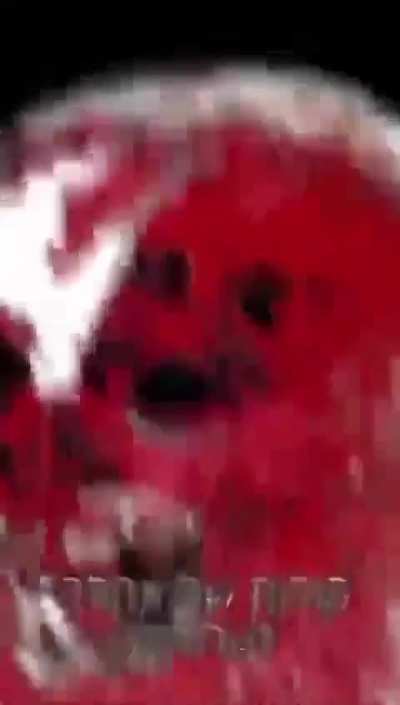 Sex