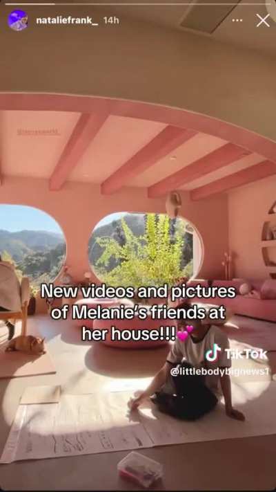 Melanie&rsquo;s friends taking care of her dogs while she&rsquo;s shooting MM4 in Seoul