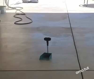 Dog cleans up his own poop