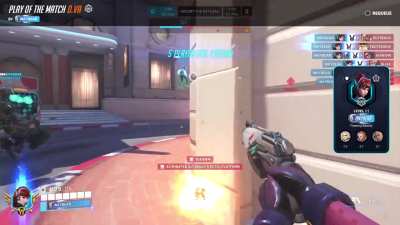 Seedling dva main