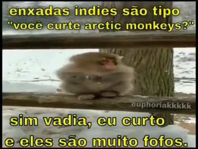 eu_nvr