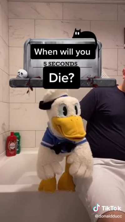 Local duck gets murdered