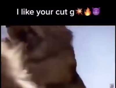 A-