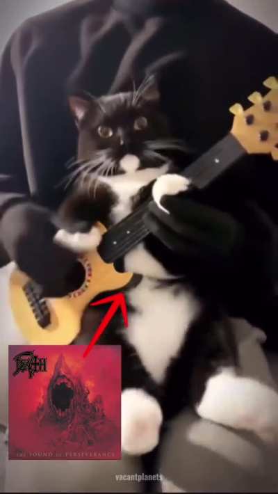 Kitty plays Death