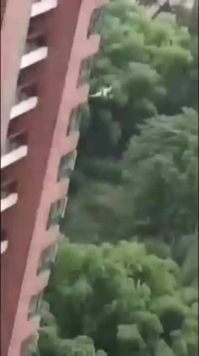 Cuidado