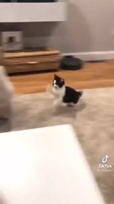 Parkour!