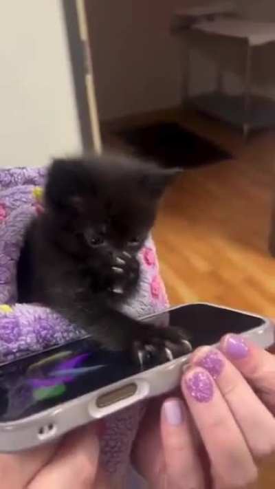 does this count ?