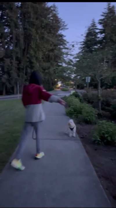 Crazy racist lady does her best joker impersonation