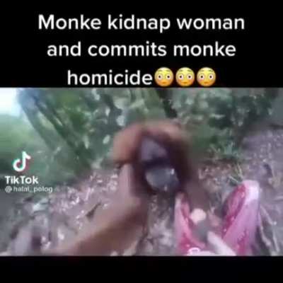 Monke NOo