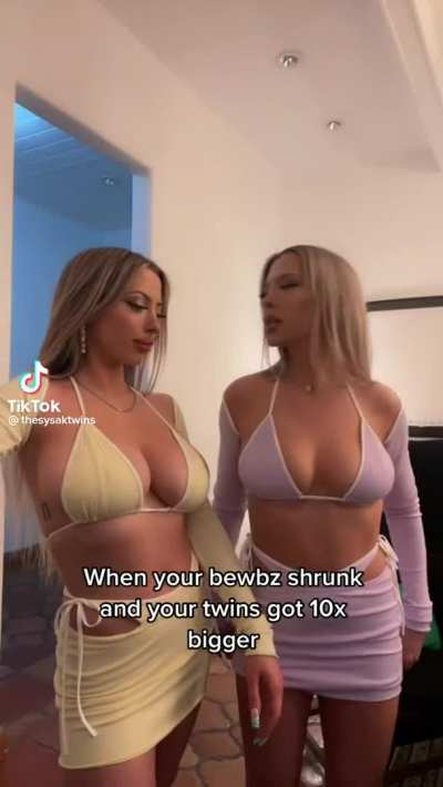 twin envy