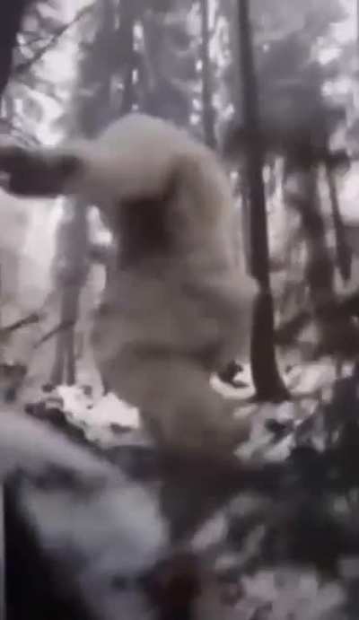 blursed_Colorado