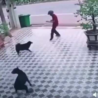 He is the Dragon fighter