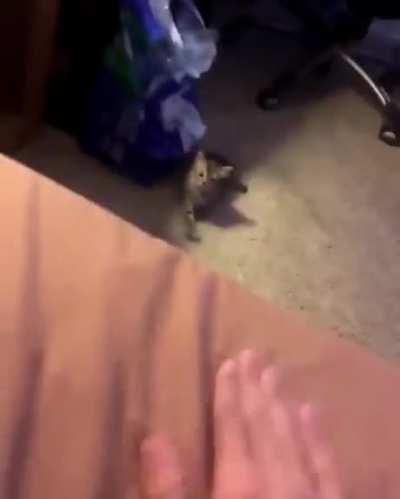 "No, you come here."