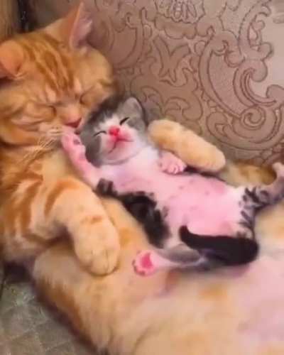 Touch tha Mummy