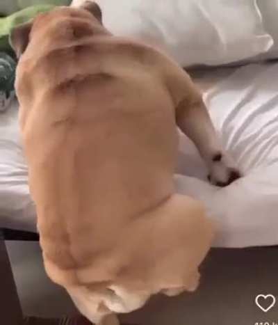 The agility is amazing.
