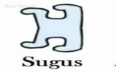 Amogus