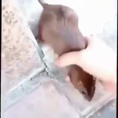 :D