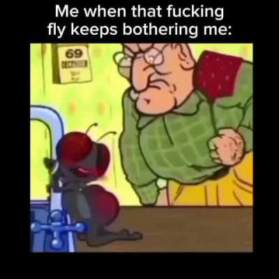 Fucking fly! 