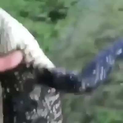 YEET