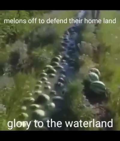 Cursed_melon march