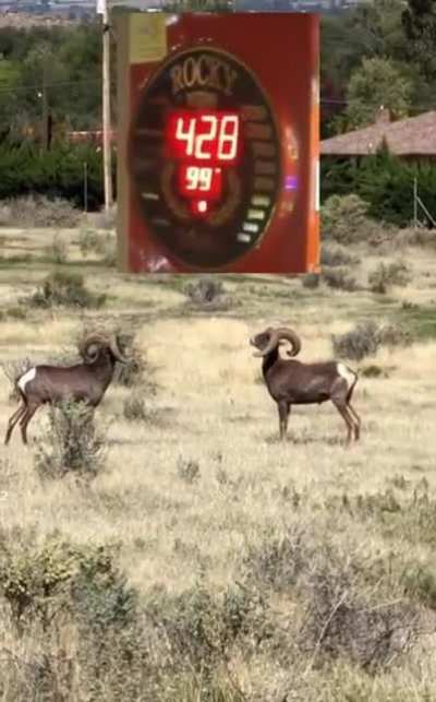 Alright mate let&rsquo;s see if we can beat the high score