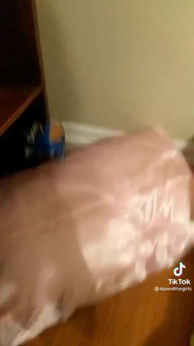 The Cat With The Dorito...