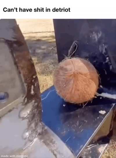 Can&rsquo;t have shit in Detroit