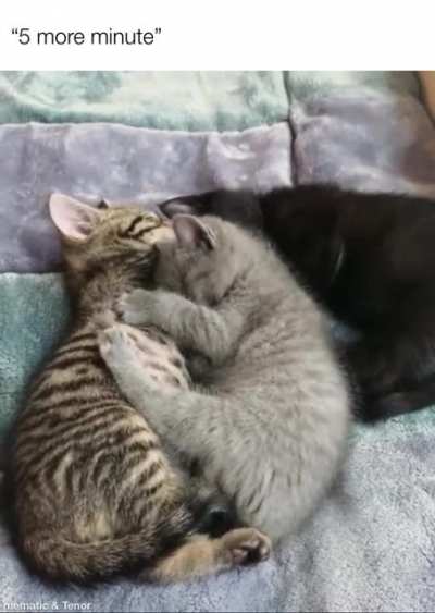 It&rsquo;s so cozy