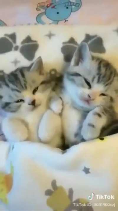 Aw, sweepy