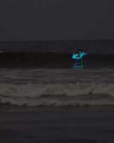 This phenomenon is called bioluminescence. It took place on Venice Beach — and travel blogger Louis Cole was there to capture it all. Nature is amazing
