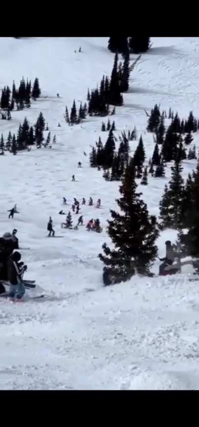 To ski