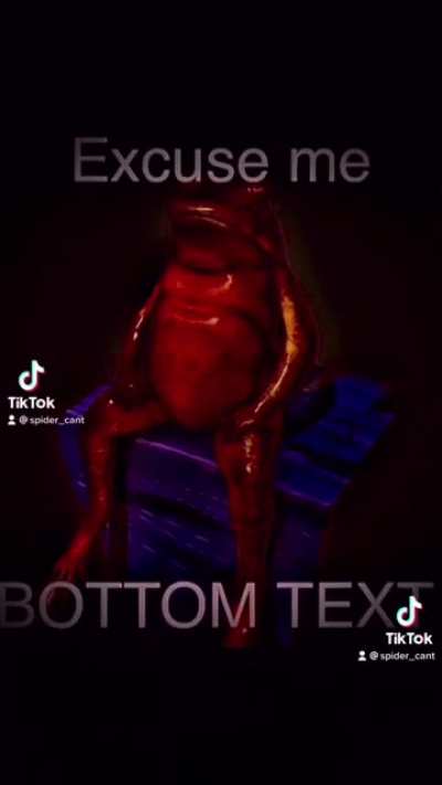 Excuse me