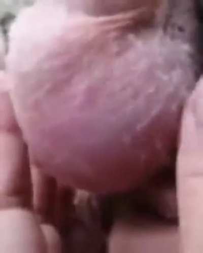 Here's my turkey