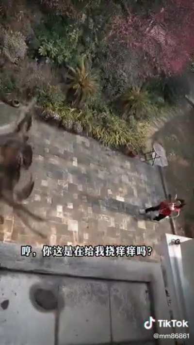 Hmmm