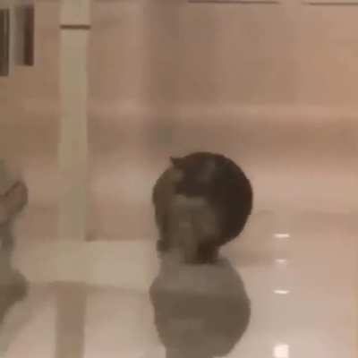 He&rsquo;s on me&hellip; OH SHIT